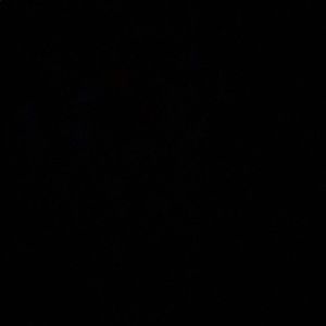 Meet your Posher, Julian